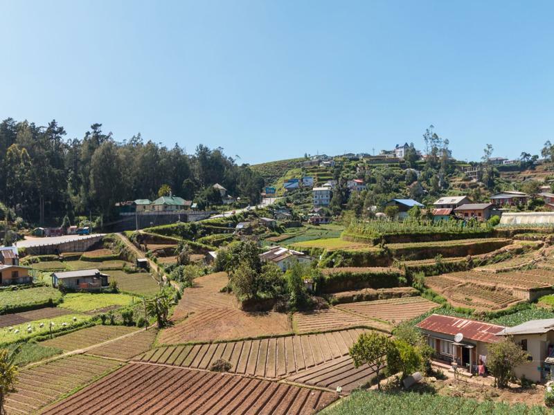 Aaradhya Villa Nuwara Eliya Bagian luar foto