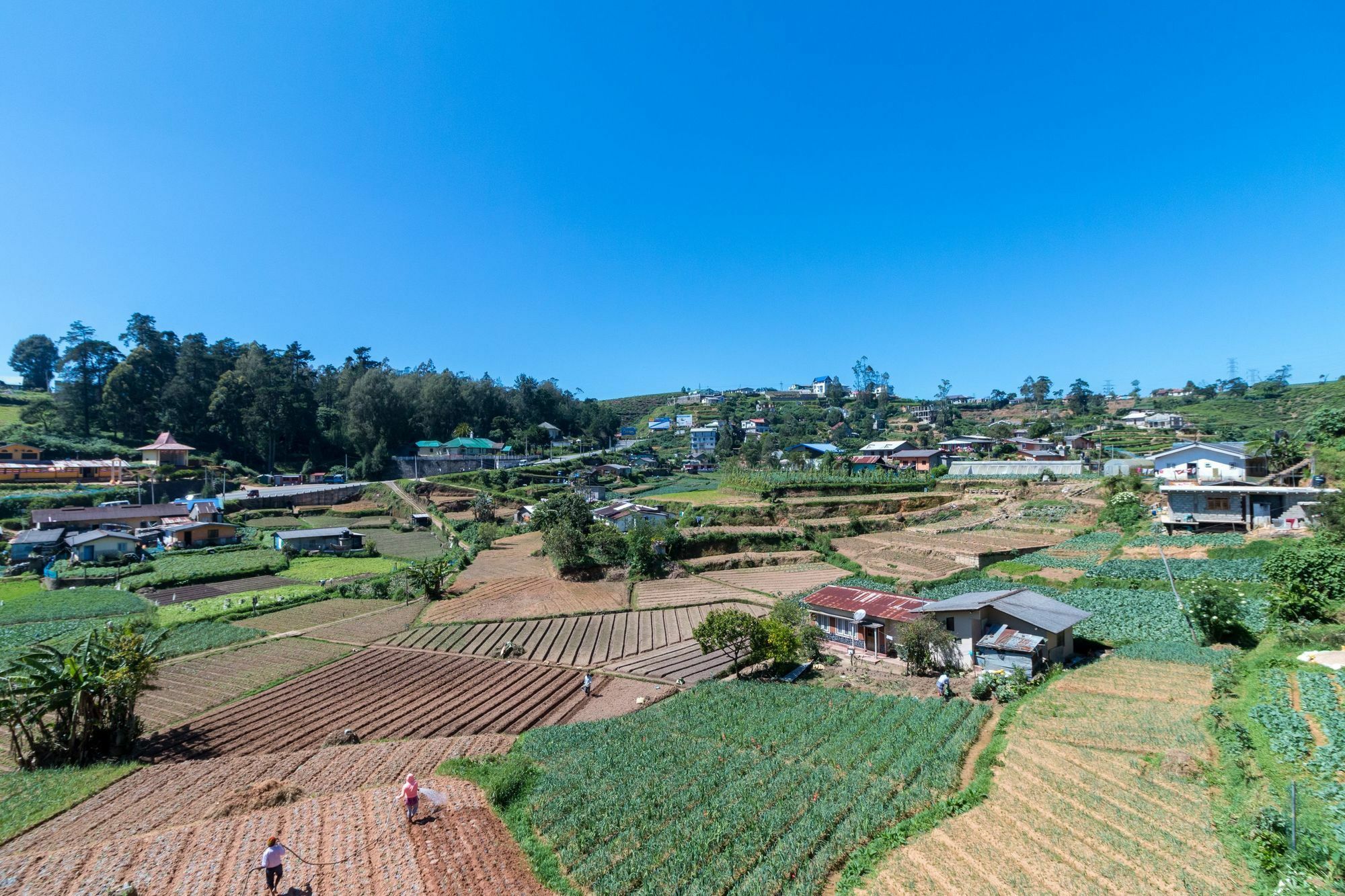 Aaradhya Villa Nuwara Eliya Bagian luar foto